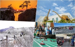 รูปภาพผลการค้นหา Naver 6