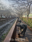 벚꽃의 도시 창원 진해구, 봄맞이 준비 본격화