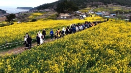 청산도 슬로걷기 축제 개막 치유의 섬으로 오세요!