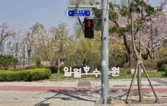 수원특례시, 훼손·망실 주소정보시설 순차 정비