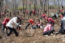 [포토]화순군 산림을 푸르게 푸르게--나무심기 현장