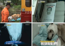 동물농장 공개 수배,황구 학대한 용의자 추적네티즌들 분노