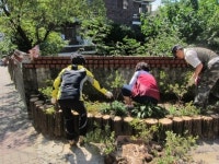 도봉구 쌍문동 꽃동네, 주민 참여 꽃동네 되다