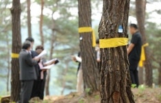 수목장림 활성화, ‘조용한 장례’ 문화 터전 활용 방안