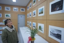 “나주 100살 이상 큰나무 사진으로 감상하세요”
