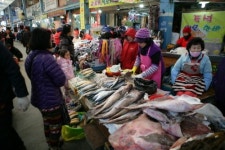 논산시, 안전+훈훈 설 명절, 시민들 활기 넘쳐