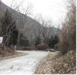 나주, 금성산 오두재에 동백길 생긴다