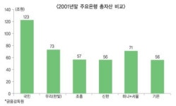 KB 별빛 흔들림, 관치 탓으로만 볼건가