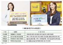 새해 보험 트렌드는 ‘가성비’… 교보·KB 눈길