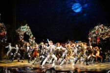 와디즈, ‘뮤지컬 캣츠’ 사상 최대 규모 3억 크라우드펀딩 성공