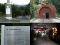 [지역탐방2-④]청도반시와 감 와인 터널