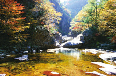 [지역탐방1-①]마카 오우야 강릉으로(모두 놀러 와요 강릉으로)