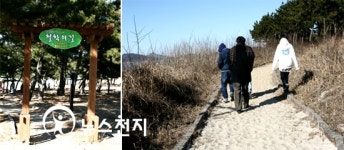 [전남]증도에서 들려주는 습지 이야기