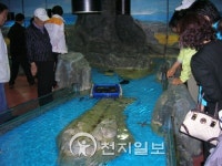 신풍수산 종묘배양장 | 인천 수산 종묘 배양 연구소