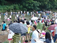 [충북] 보은황토 사과 분양가족, 속리산 유스타운 여름캠프