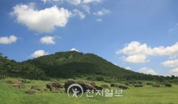 [문화재 탐방-고창 ②] 살아있는 선사유적 고인돌