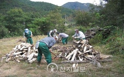 [전남] 함평 사랑의 땔감으로 따뜻한 겨울 나요~