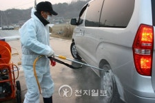 [경북] 안동한우농가 구제역  이제 와서 방역, 무슨 소용…
