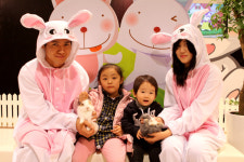 [광주] 신묘년 맞이 토끼카페 등장