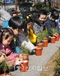 산림청·생명의숲 내 나무 갖기 캠페인 개최