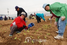 [포토] 어르신을 위한 무료 텃밭 농원 인기