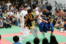 [택견배틀] 안암비각패·수원전수관, 8강티켓 가져가