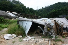 전원마을 며칠 후면 추석인데… 마음은 착잡