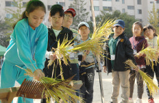 [충남] 도심 초등학교에서 이색 가을걷이