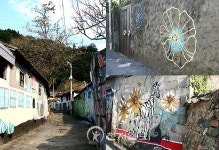 [광주] 카메라 들고 떠나는 골목 여행…시화마을 환경 예술제