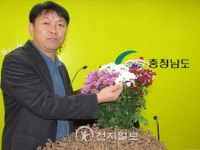 [포토] 충남 예산국화시험장 김동찬 박사 7년 걸려 만든 새 국화, 수출 전망 좋아