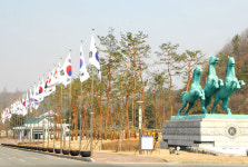 대전 현충원, 명품 소나무 길 조성