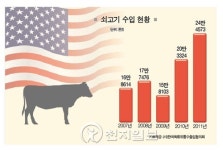정부 한우 감축 외치는데… 농가는 속앓이 만