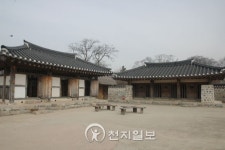 [종교문화재 탐방-해미읍성] 회화나무는 기억하고 있을까, 목숨과 맞바꾼 그들의 신앙을…