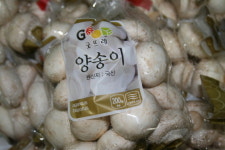 충남도 부여 양송이 전국 1위… 85억 지원