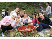 충남도, 초등학생 밥상머리 교육 사업 추진