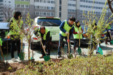 [대구] LH 대구경북본부, 식목일 행사·환경정비 봉사활동 펼쳐