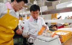 안희정 충남지사, 부여현장 5곳 방문 대화… 양송이 포장 체험