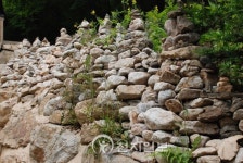 [종교문화재 탐방-용문사] 천년의 자태 은행나무, 널 만나러 가는 길이 싱그럽다