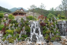 [종교문화재 탐방-용문사] 천년의 자태 은행나무, 널 만나러 가는 길이 싱그럽다