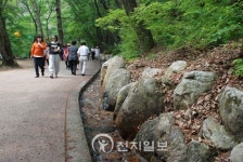 [종교문화재 탐방-용문사] 천년의 자태 은행나무, 널 만나러 가는 길이 싱그럽다