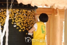 [종교문화재 탐방-용문사] 천년의 자태 은행나무, 널 만나러 가는 길이 싱그럽다