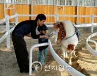대전시 복용승마장 이용객 60% 증가… 어린이 1700명