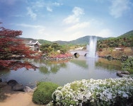 충남도 내 금강 자연휴양림 숲 속의 집, 최고 인기