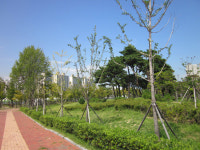 부산시, 전문 공원활동가 양성 위한 공원문화학교 개설