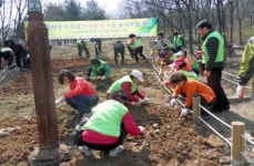 [경기-부천시] 원미구 꽃향기 가득한 부천 도당동으로 놀러오세요