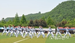 [포토] 연예인 회오리축구단 30주년 기념대회 태권도 시범