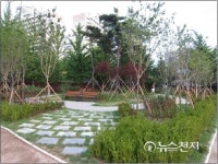 [원주] 행복 플러스 학교 학교숲 조성