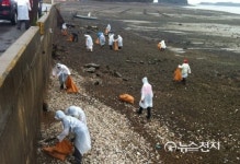 충남도, 유류피해주민과 바닷가 정화
