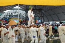 [충남도] 2017년 금산세계인삼엑스포 열린다