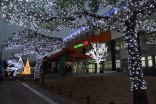 [순천] 시청 앞 잔디광장, 성탄 트리 점등식